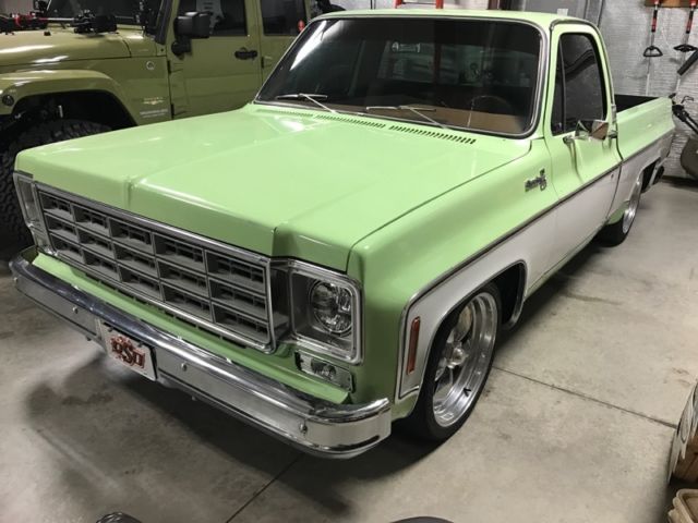 1975 Green Chevrolet Silverado 1500 Standard Cab Pickup
