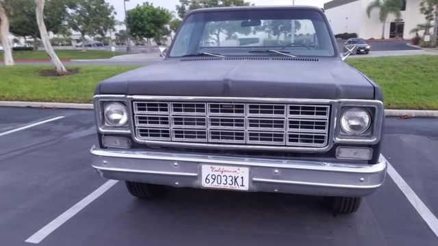 1975 Black Chevrolet C-10 Standard Cab Pickup