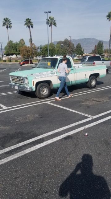 1975 Teal/ white Chevrolet C-10 Standard Cab Pickup