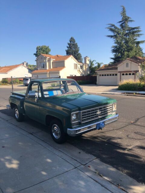 1975 Green Chevrolet Other Pickups