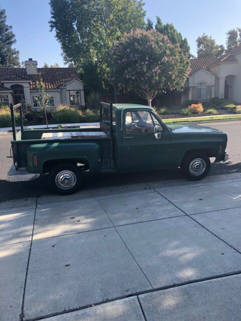 1975 Green Chevrolet Other Pickups
