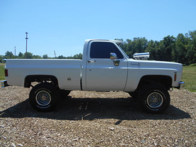 1975 White Chevrolet Other Pickups Standard Cab Pickup