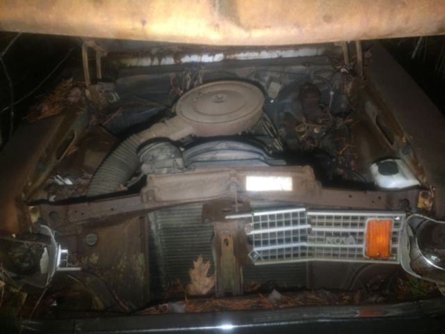 1975 Gray Chevrolet Nova Coupe