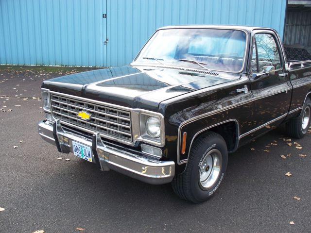 1975 Black Chevrolet C-10 Standard Cab Pickup