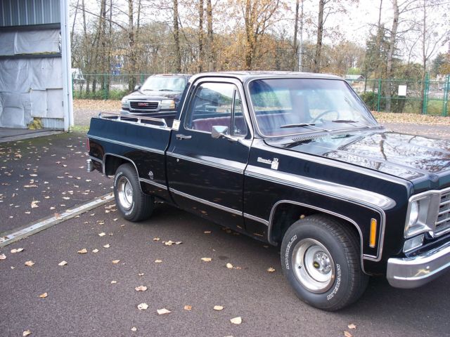 1975 Black Chevrolet C-10 Standard Cab Pickup