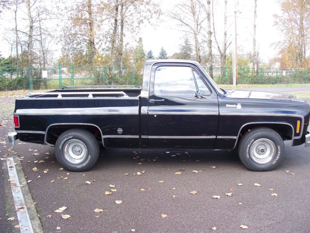 1975 Black Chevrolet C-10 Standard Cab Pickup