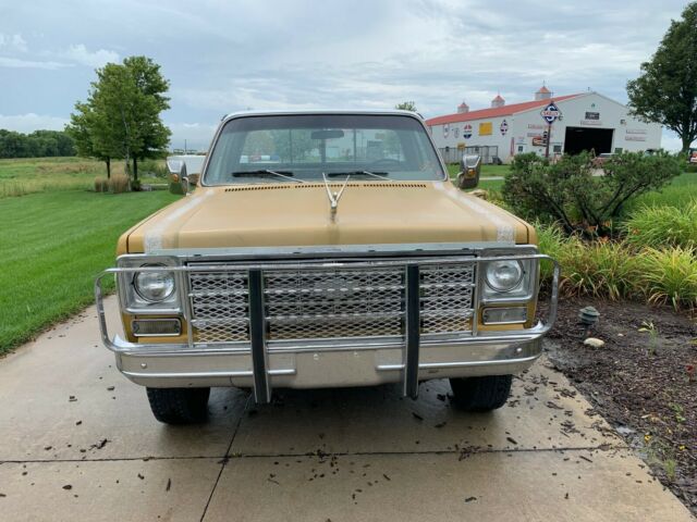 1975 YELLOW/WHITE Chevrolet Other Pickups