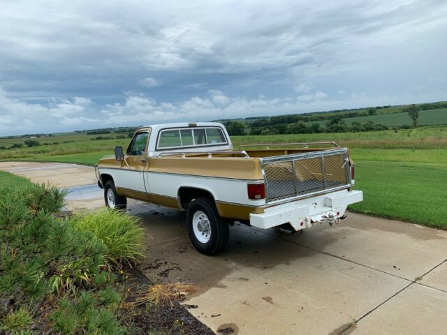 1975 YELLOW/WHITE Chevrolet Other Pickups