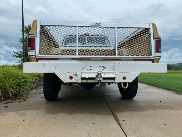 1975 YELLOW/WHITE Chevrolet Other Pickups