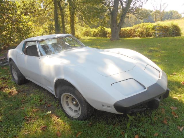 1975 Gray Chevrolet Corvette Coupe