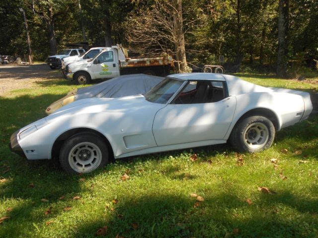 1975 Gray Chevrolet Corvette Coupe