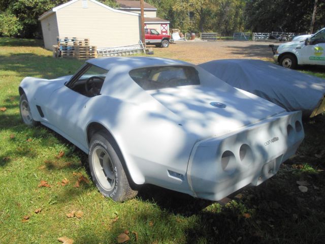 1975 Gray Chevrolet Corvette Coupe