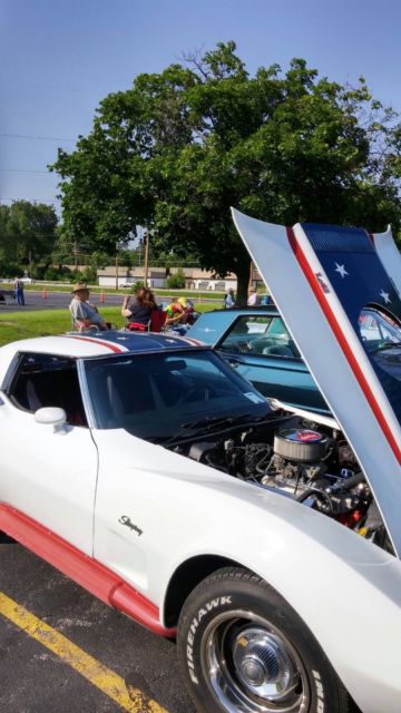 1975 White with red and blue stripes. White stars on blue. Chevrolet Corvette Coupe
