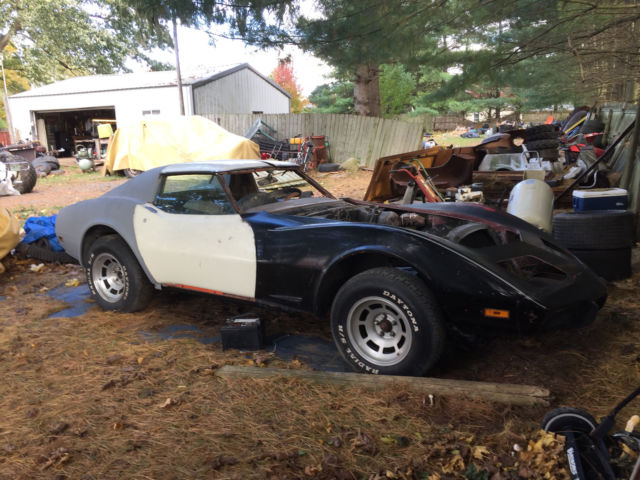 1975 Tan Chevrolet Corvette T TOP