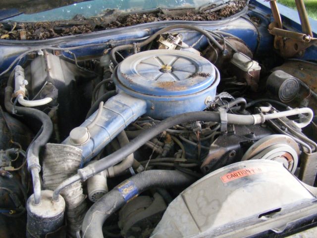 1975 Blue Ford Torino Coupe