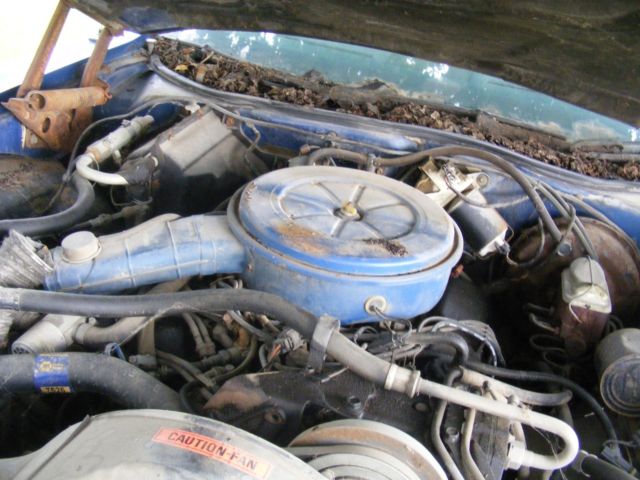 1975 Blue Ford Torino Coupe