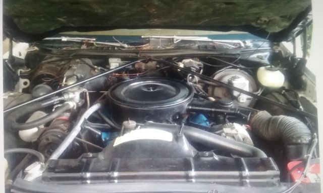 1975 White Oldsmobile 442 Coupe