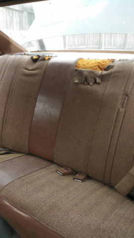 1975 Green Chevrolet Nova Coupe