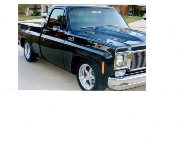1976 Silver Chevrolet C-10 Standard Cab Pickup