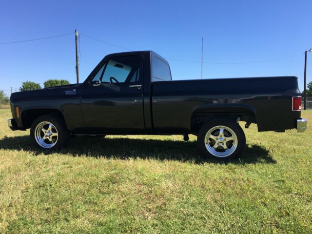 1976 Silver Chevrolet C-10 Standard Cab Pickup