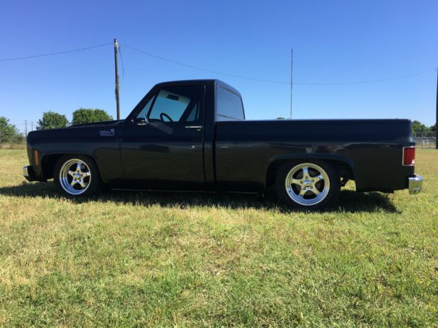 1976 Silver Chevrolet C-10 Standard Cab Pickup