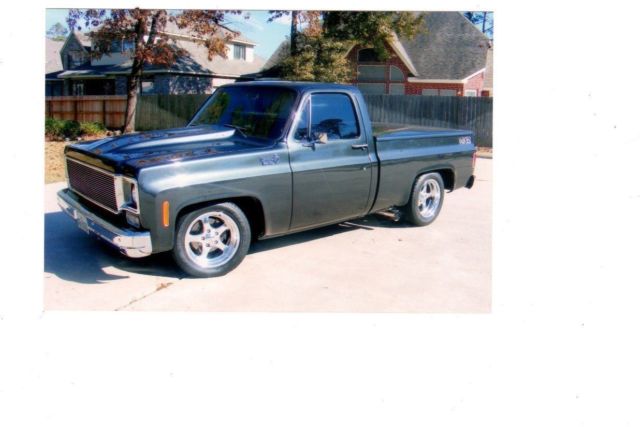 1976 Silver Chevrolet C-10 Standard Cab Pickup