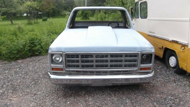 1976 Gray Chevrolet C-10 Standard Cab Pickup