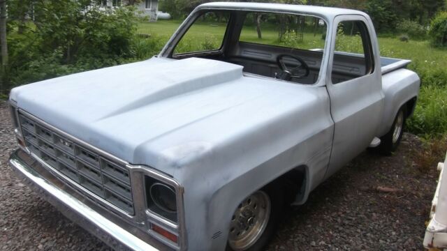1976 Gray Chevrolet C-10 Standard Cab Pickup