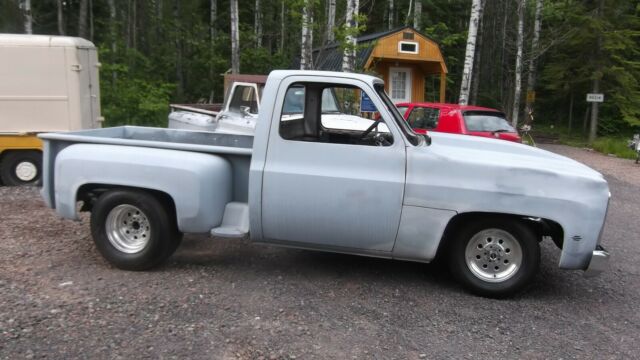 1976 Gray Chevrolet C-10 Standard Cab Pickup
