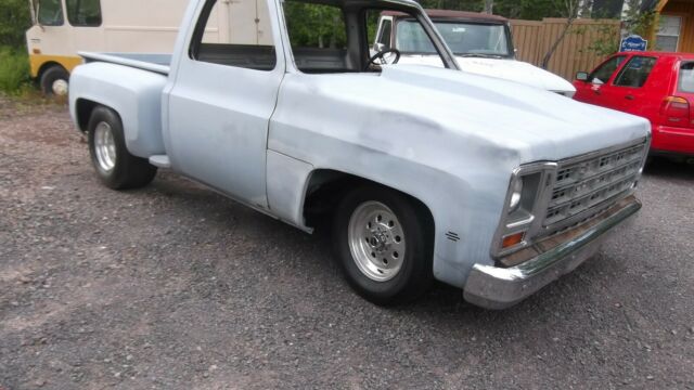 1976 Gray Chevrolet C-10 Standard Cab Pickup