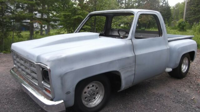 1976 Gray Chevrolet C-10 Standard Cab Pickup