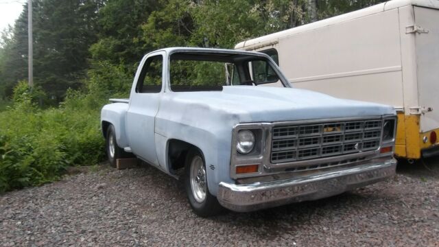 1976 Gray Chevrolet C-10 Standard Cab Pickup