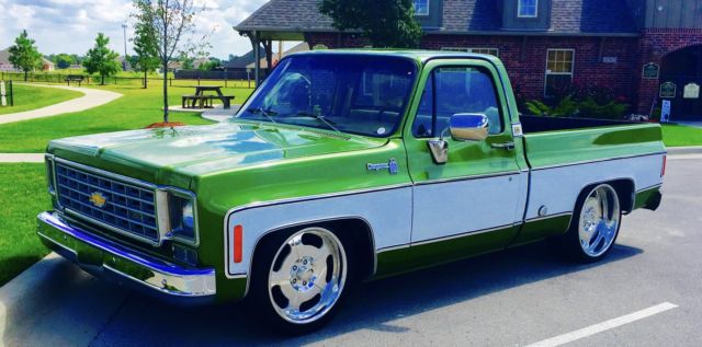 1976 Chevrolet Other Pickups