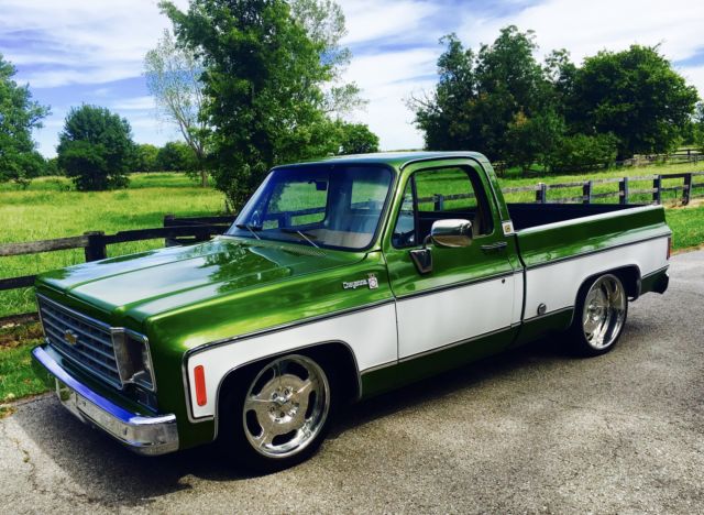 1976 Chevrolet Other Pickups
