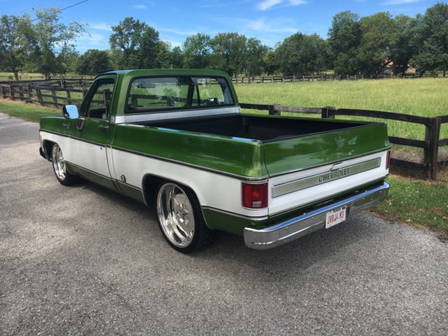 1976 Chevrolet Other Pickups