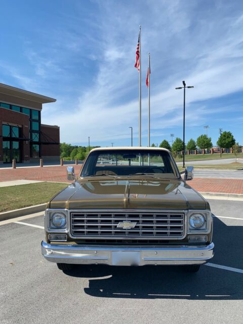 1976 Brown Chevrolet C-10 Standard Cab Pickup
