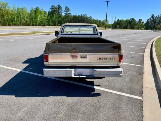 1976 Brown Chevrolet C-10 Standard Cab Pickup