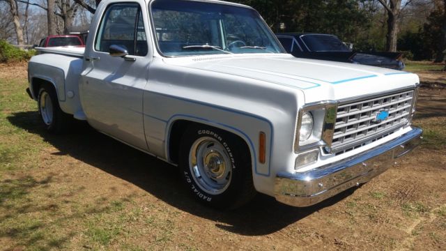 1976 Chevrolet Other Pickups