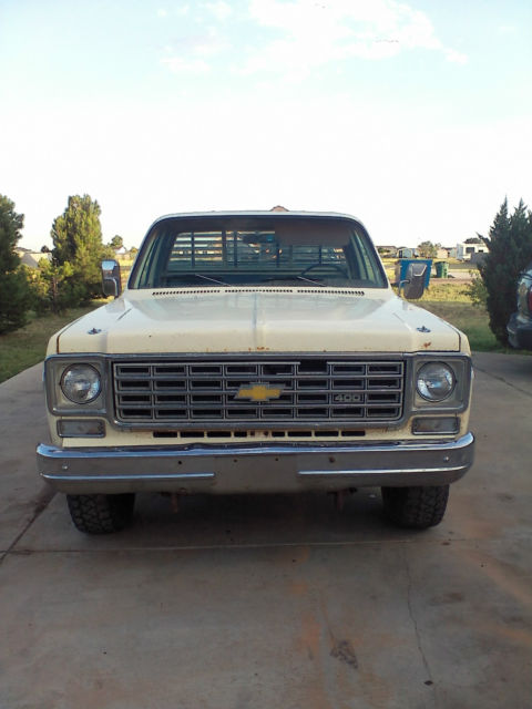 1976 Tan Chevrolet C-10 Single Cab