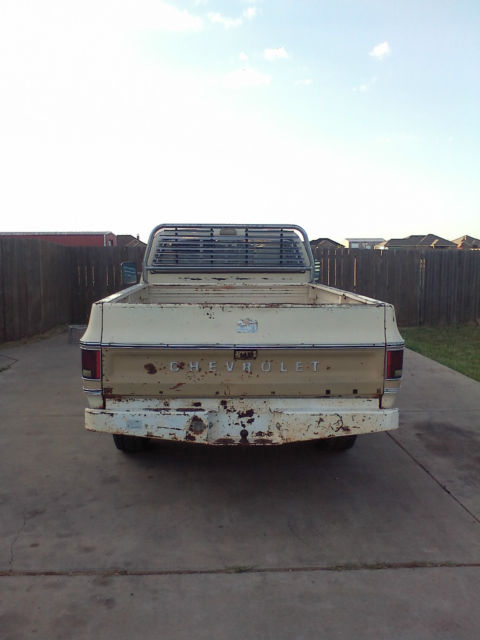1976 Tan Chevrolet C-10 Single Cab