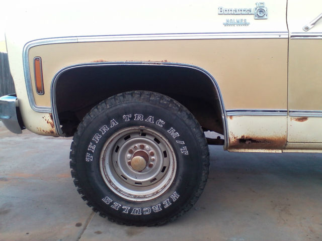 1976 Tan Chevrolet C-10 Single Cab