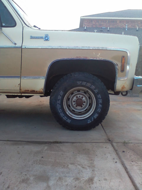 1976 Tan Chevrolet C-10 Single Cab