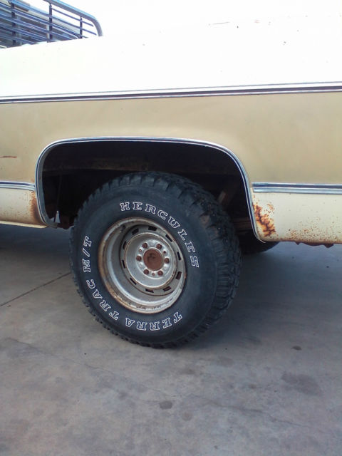 1976 Tan Chevrolet C-10 Single Cab