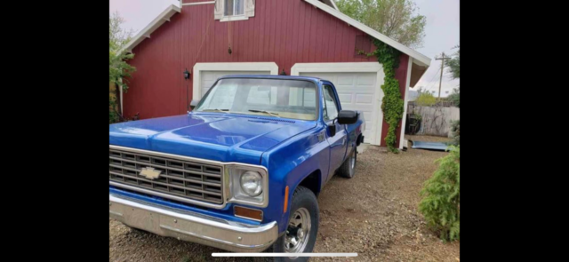 1976 Blue Chevrolet C-10