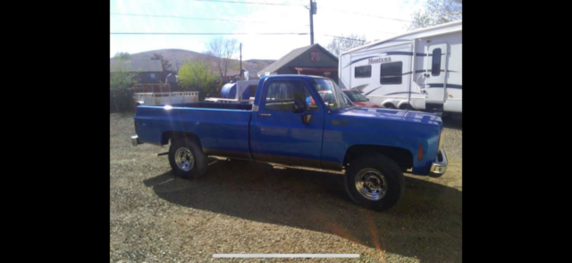 1976 Blue Chevrolet C-10