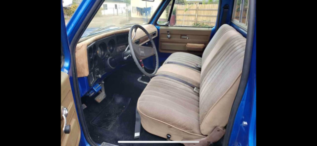 1976 Blue Chevrolet C-10