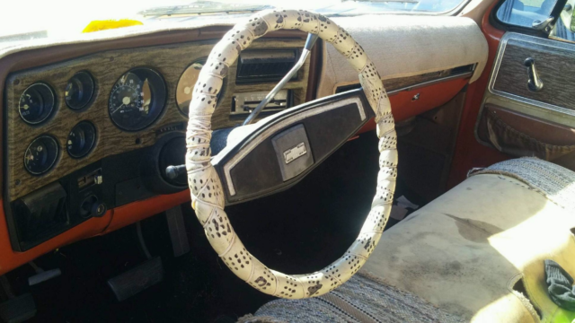 1976 Orange Chevrolet C-10 Standard Cab Pickup