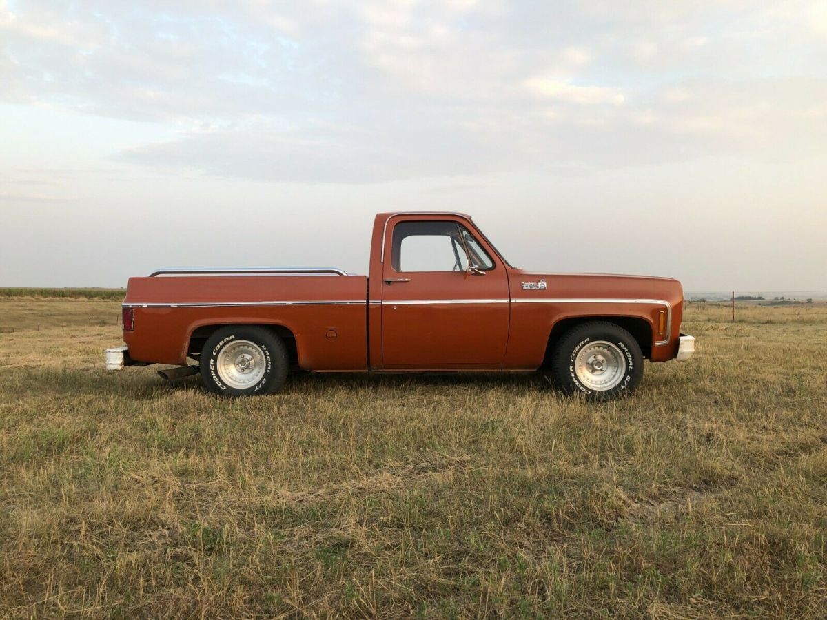 1976 Chevrolet C-10 Standard Cab Pickup