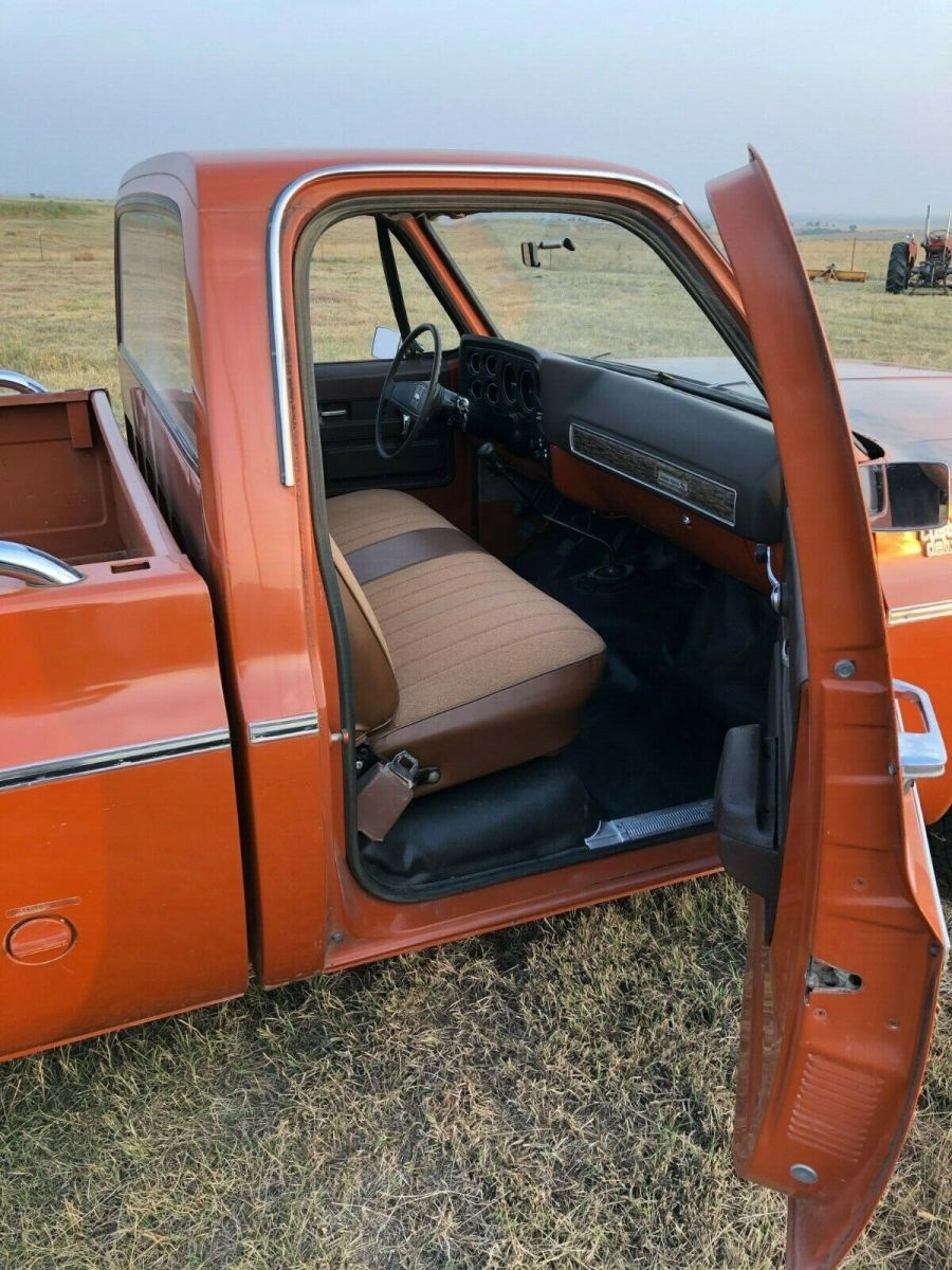 1976 Chevrolet C-10 Standard Cab Pickup