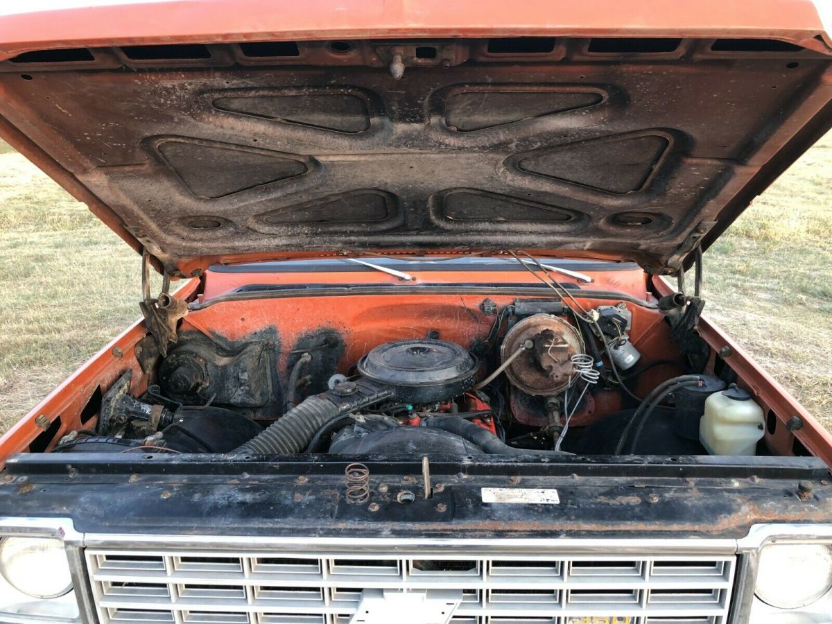 1976 Chevrolet C-10 Standard Cab Pickup